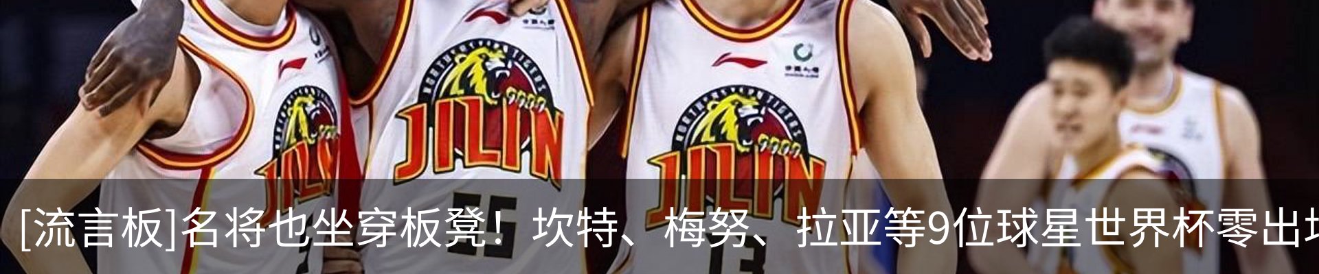 新闻动态